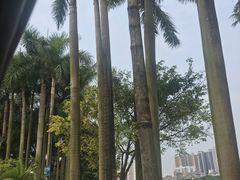 -南宁南湖公园