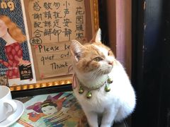 -古董花园(思南路42弄小区店)