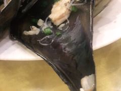 -鸿达渔港
