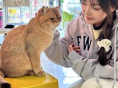 -平行世界·猫咖(首经贸店)