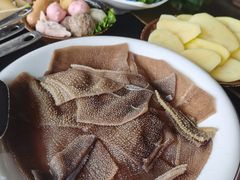 四川鲜毛肚-根据地火锅(南河桥店)