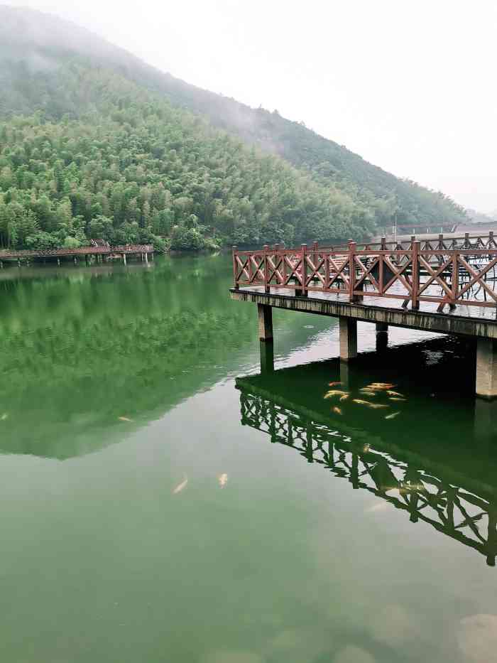 顾渚水库-"长兴的农家乐规模很大,那里空气清新,自然.