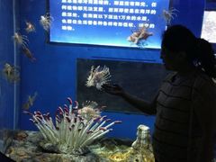 -福州罗源湾海洋世界旅游区