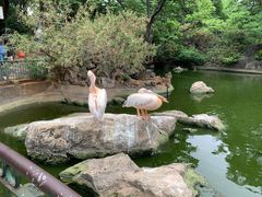 -昆明动物园