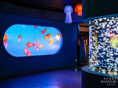 -太平洋海底世界