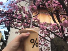 -% Arabica(京都东山店)