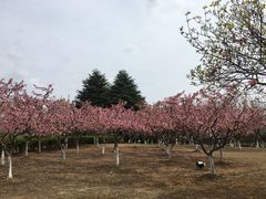 -白塘生态植物园