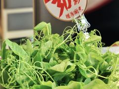 -海底捞大排档火锅(悦荟广场店)