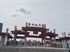 -曹州牡丹园