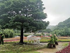 -广州市石门国家森林公园