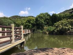 -白马涧龙池景区