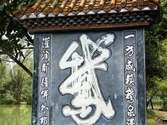 -靖西鹅泉风景区