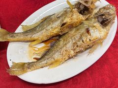 -蛇口康乐快餐鱼仔档(翠苑小区店)