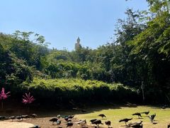 -西双版纳勐泐文化旅游区