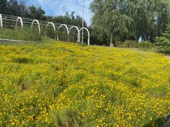-石家庄市植物园