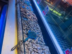 -聚盛源蒸汽海鲜火锅烤肉自助(巨川金海岸购物广场店)