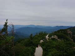 -牛背梁国家森林公园