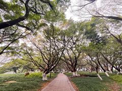 -江心屿景区
