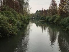 -桤木河湿地公园