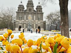 -王府井天主教堂