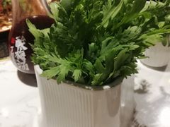 -丁卯•铜锅涮肉(工体店)