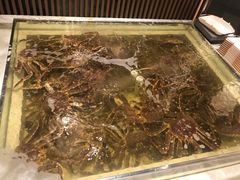 -蟹将军·松叶蟹和牛日料放题自助(K11店)