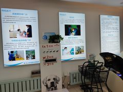 -北京观赏动物医院·24小时大型综合·猫专科·异宠专科