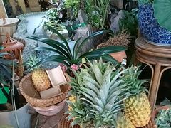 -多哥水傣味餐厅(司马巷店)