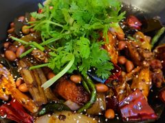 -食乐佳麻辣香锅(森林摩尔商业街区店)