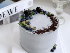-蜜肆动物奶油蛋糕·个性定制·下午茶甜品