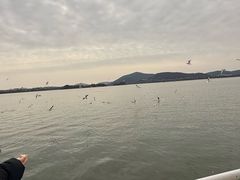 -蠡湖大桥公园