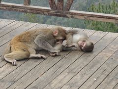 -重庆云阳龙缸景区