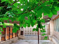 -春晖园度假酒店温泉