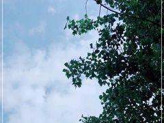 -重庆彩云湖湿地公园