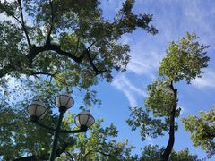 -人民防洪胜利纪念塔