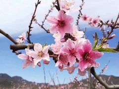 -崔家大院·特色农家菜