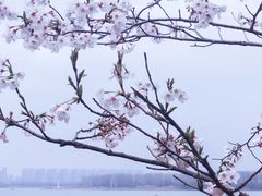 -幕燕滨江·长江观音景区