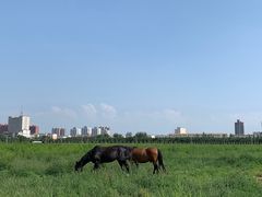 -蒙古大营·蒙古演绎餐厅(赛马场店)