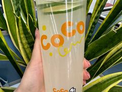 -CoCo都可(北新桥店)