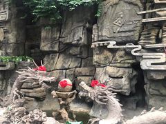 -德百温泉大观园生态餐厅(夏津店)