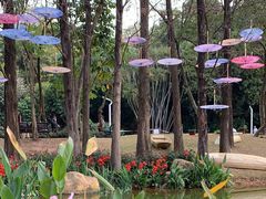 -人民公园(罗湖区)