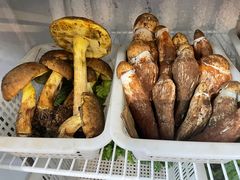 -菌之家·专业纯野生菌火锅·特色炒菌