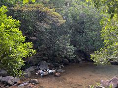 -广州白江湖森林公园