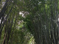 -成都杜甫草堂博物馆