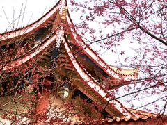 -显应宫(长乐区)