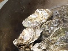 -蚝得喜海鲜(东城店)