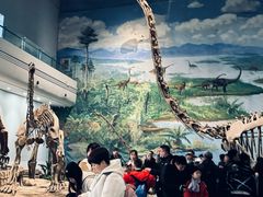 -自贡恐龙博物馆