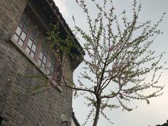 -檀园