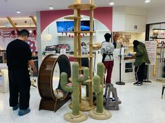 -喵园·猫主题咖啡厅·撸猫·猫咖(国贸店)