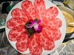 -禄婶鸡煲·打边炉